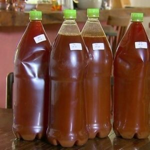 Ayahuasca Tea – Sacred Amazonian Healing Brew