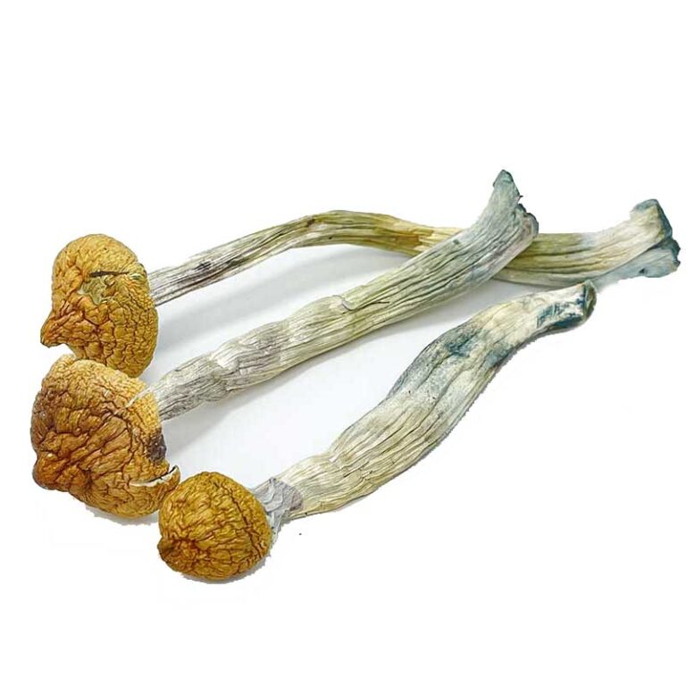 Thai-Koh-Samui-Magic-Mushrooms-768x768 Thai Koh Samui Magic Mushrooms